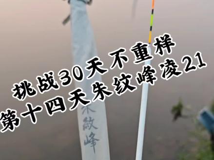 朱文峰凌21尺#并继竿 #黑拉漂 #野钓