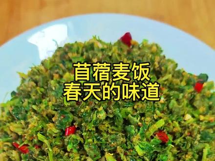 春天的味道,一口苜蓿麦饭就到位!头茬苜蓿鲜嫩翠绿,裹上面粉就是一道香到停不下来的美食!做法简单,饭菜一体,健康又解馋,这才是咱陕西人的春日限定美味。#苜蓿麦饭#陕西美食#春天的味道#家常美食#麦饭的做法