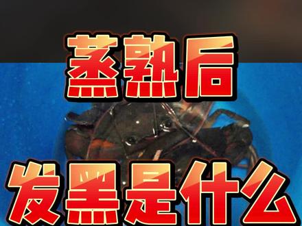 螃蟹蒸熟后发黑是什么原因呢?#大闸蟹 #固城湖大闸蟹 #螃蟹 #农村生活 #乡村生活