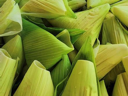 玉米粑粑,软糯香甜,大山里的美食,云南特色小吃。
#云南特色小吃 ##包谷粑粑制作方法 #我的乡村生活 #纯天然绿色食品 @抖音小助手