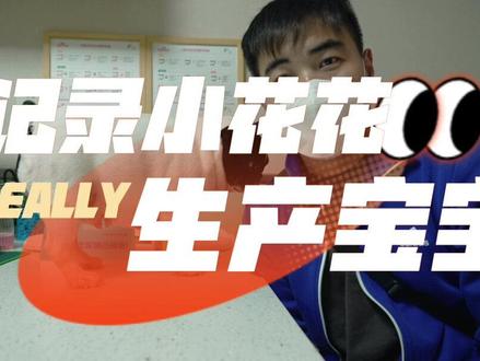 法斗小花花的生产记录#法斗幼犬 #法斗宝宝 #万花法斗 #法斗 #法斗剖腹产