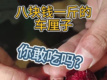 八块钱一斤的车厘子敢吃吗#车厘子自由 #三斤车厘子姐