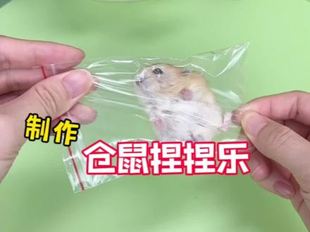挑战制作仓鼠捏捏乐 #创意diy #瓜子二手车 #捏捏乐