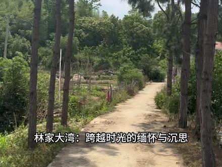 林家大湾:跨越时光的缅怀与沉思