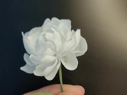 #手工 #翻糖 #粘土 牡丹花制作教程,两分钟超详细教程,此方法也同样适合软陶,翻糖,希望对大家有所帮助。