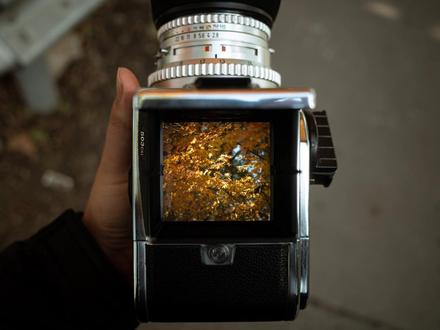 给我的取景器打个分!#胶片相机 #哈苏 #腰平取景器