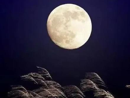 孤篇压倒全唐——春江花月夜!#奇妙知识在抖音