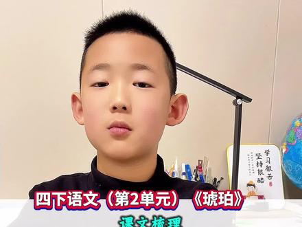 四年级下册语文(第2单元)《琥珀》#阅读理解#知识点总结#知识点归纳#四年级下册语文