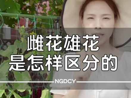 植物的雌花花和雄花来区分一下#种植 @抖音小助手
