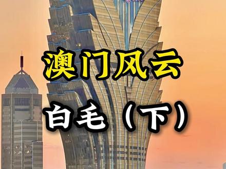 澳门风云——白毛(下)