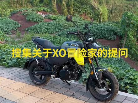 第41天|搜集关于XO狒狒冒险家的提问