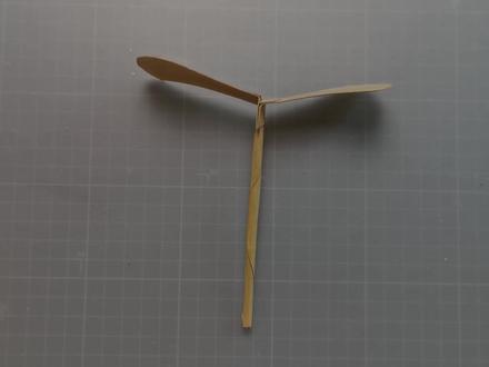 教你用纸做一个“竹蜻蜓”,简单易学,飞的又高又远!