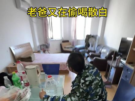 哼,在家顶多算家暴 #搞笑 #父与子 #散白