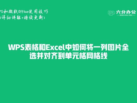 WPS表格和Excel中如何将一列图片全选并对齐到单元格网格线
