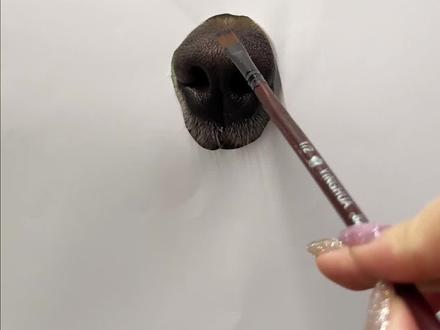 4步画好一只狗#金毛 #萌宠出道计划 #灵魂画手