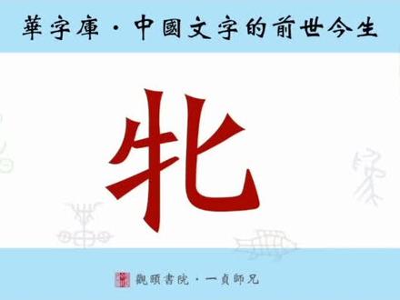 “牝”字的前世今生#热门 #汉字 #教育 #说文 #国学 #文字 #文化