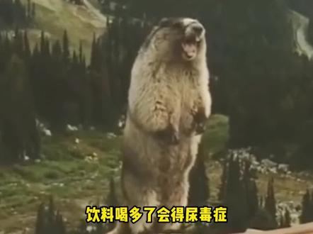 千万不要把饮料当成水来喝#科普 #冷知识 #尿毒症