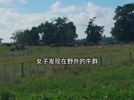 盘点地球出BUG的视频,这个世界不真实 #地球online #奇闻异事 #bug