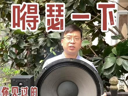 嘚瑟一下,你见过最大的音箱是多少寸?#音响发烧友 #音响设备 #专业音响 #家庭影院音响 #喇叭