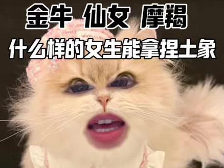 什么样的女生能拿捏土象#金牛男#处女男#摩羯男#恋爱军师#陶白白