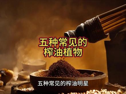 五种常见的榨油植物
