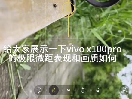 第69集:vivox100pro的60倍极限微距
全网独家60倍到20倍极限微距,纯手持靠在凳子上拍摄,所以设备的极限完全看人能不能发挥出来了。#vivox100pro #vivo #手机摄影 #微距 #极限微距