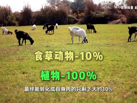 知识年终盘点丨人类称霸自然界,为什么不吃食肉动物? #抖音知识年终大赏 #硬核深度计划 #青年创作者成长计划 #知识前沿派对 #思考