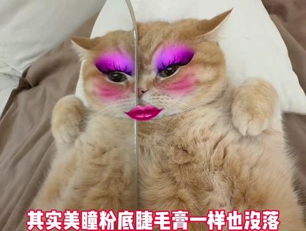 姐姐平时都化这么浓的妆吗?#巧克力猫#宝贝年味企划#万物可爱计划#新春萌宠才艺大赏
