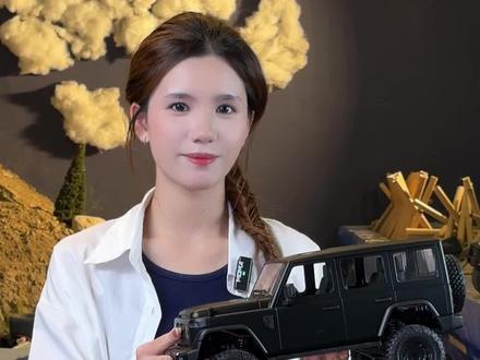 百元价位,正版授权车型!#点火rc #rc模型遥控车 #莽牛#212#rc攀爬车模型