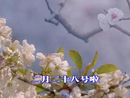 我所听过的最早的唱片版本的打碗记,江苏省淮剧团华美琴、梁国英、王花兰、刘少峰等