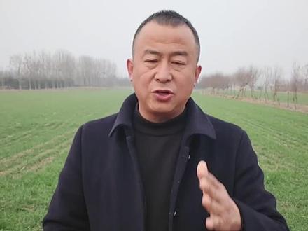 一年雨水看冬至,冬至谚语#冬至