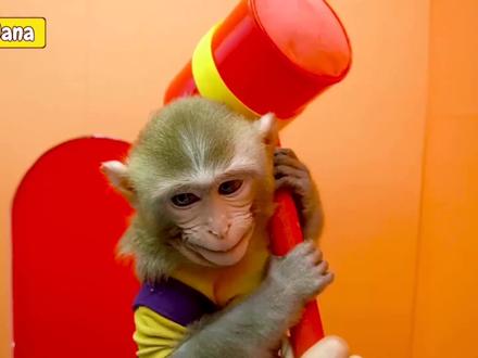 小蓝被锁在屋子里,小猴子大闯关获得钥匙,救出小蓝 #儿童动画 #儿童视频