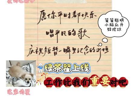 误入xql调情现场(bushi)#宅家的翟 #翟的宅搭子 #情侣 #嗑学研究所 #翟板