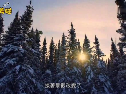 部落求生攻略,冰雪中钓鱼