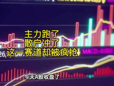 主力跑了,散户冲了?这一赛道却被疯抢!#股票 #金融 #财经 #复盘