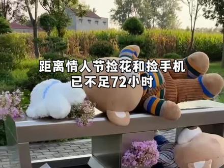 一想到情人节可以在垃圾桶捡花和捡手机我就开心