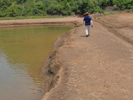 灵川潮田柑子村野河和北面水库钓鲫鱼,景色很美小鱼多没白条。