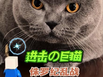 进击的巨猫之侏罗纪乱战 #真实生活分享计划 #萌宠出道计划 #动物的迷惑行为 #蓝猫 #小猫咪