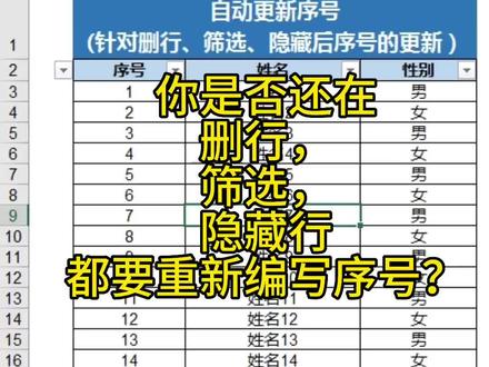 自动填充序号,针对删除行筛选隐藏行都可以自动填充序号#excel #办公技巧 #0基础学电脑 #职场 #表格 @抖音小助手 @抖音创作者中心