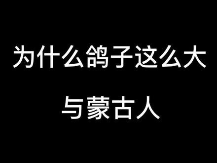 【梗科普】为什么鸽子这么大与蒙古人