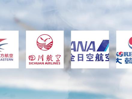 空中名片“中国南方航空”,一口气带你了解世界顶级航空公司-中国南方航空#民航 #南方航空 #知识科普 #航空 #南航