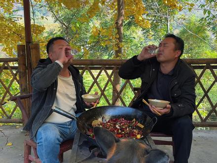 不要钱的羊肺羊肝,干煸麻辣味下酒真爽 #铁锅视频