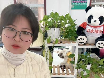 收到亚马逊“GTIN无效”警告,商品被下架!问题核心在于商品编码的“身份不合法”