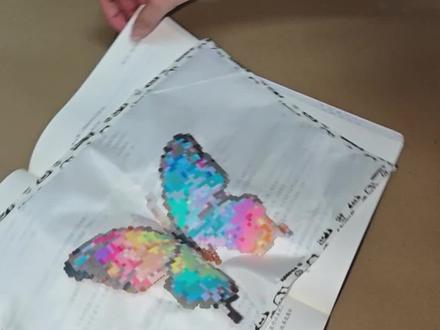 立体蝴蝶教程!
#手工 #手工制作 #拼豆 #手工作品