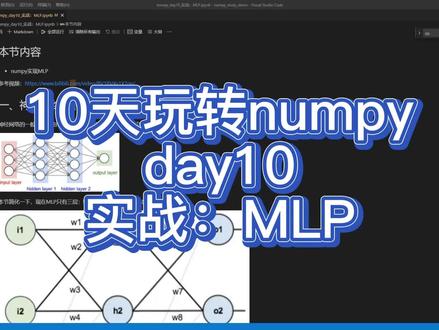 10天玩转numpy-day10-实战:MLP #numpy #python #AI #教程 #机器学习