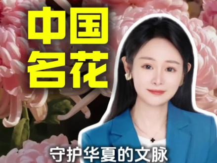 中国名花为何会被污名化? 守护住中国的文脉