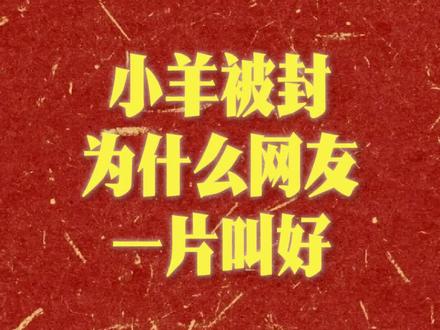 爱理财的小羊被封,屠龙少年也成恶龙 #爱理财的小羊 #基金 #大A
