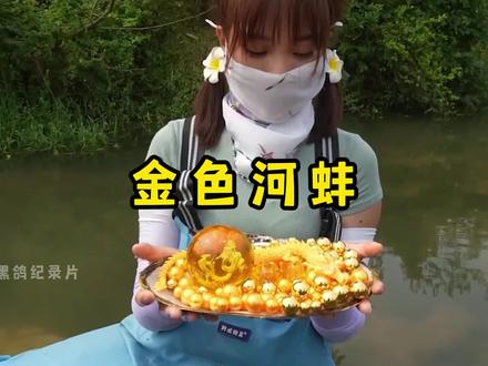 小河里全是金色的河蚌,没想到还有... #三农 #户外 #河蚌