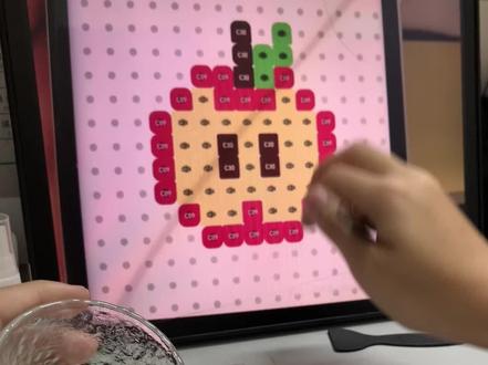 这是本人只是在小红书也发了 。有后续,可蹲