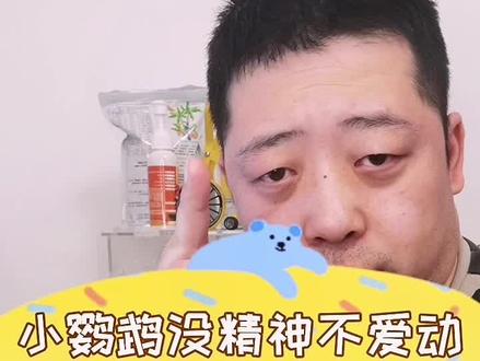 鹦鹉也有想冷静的时候,不爱动要看他具体情况,不一定就是有问题! #关爱动物 #我要上热门感谢官方推送 #留个关注 #手养鹦鹉 #鹦鹉🦜 #鹦鹉鹦鹉萌萌哒逗鹦鹉